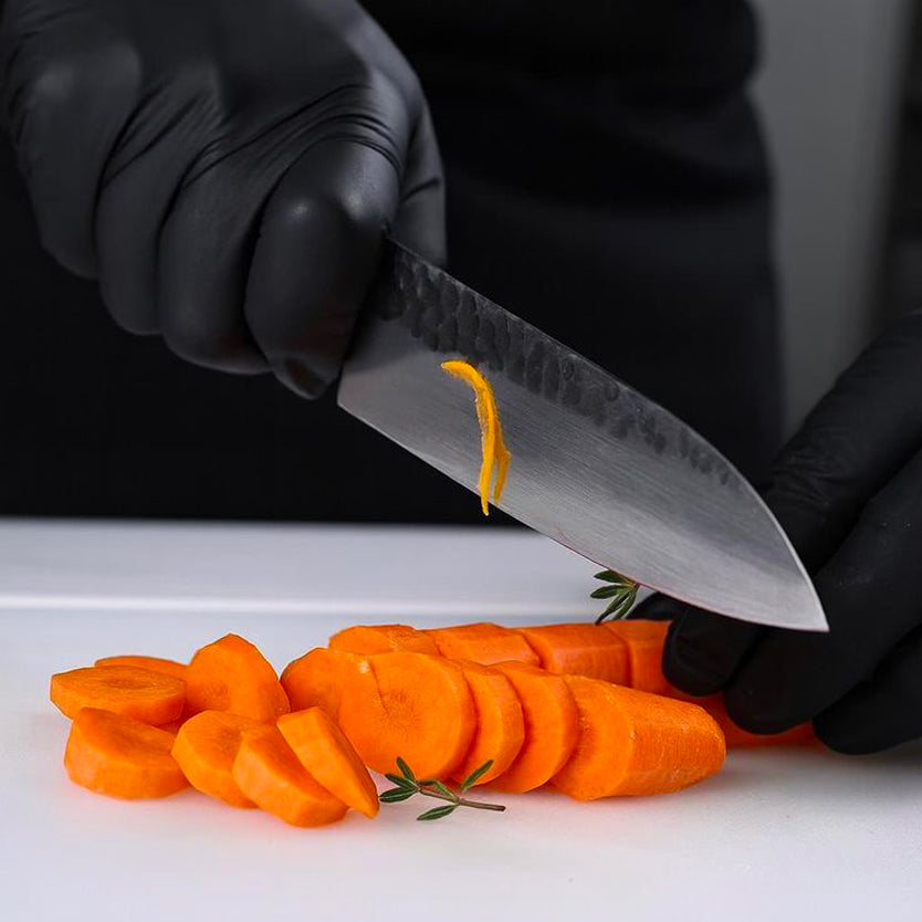 Introducción a la Gastronomía Profesional